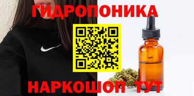 дурь Жуковский