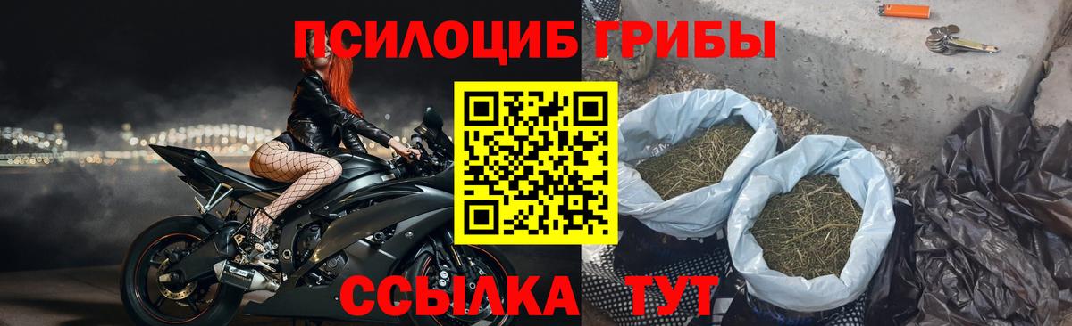 купить   Псилоцибиновые грибы MAGIC MUSHROOMS  Вход с VPN  Псилоцибиновые грибы Cubensis  Моздок 